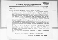 Image Associated With the Occurence
